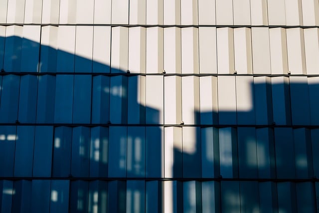 Hình ảnh minh họa ý nghĩa của từ linear transformation