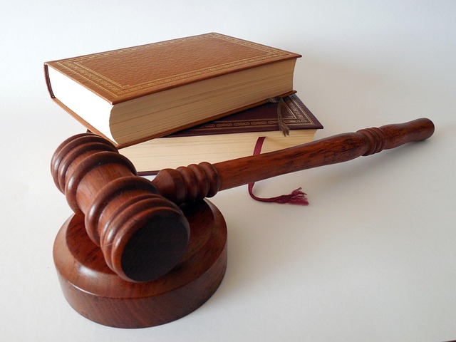Hình ảnh minh họa ý nghĩa của từ litigate