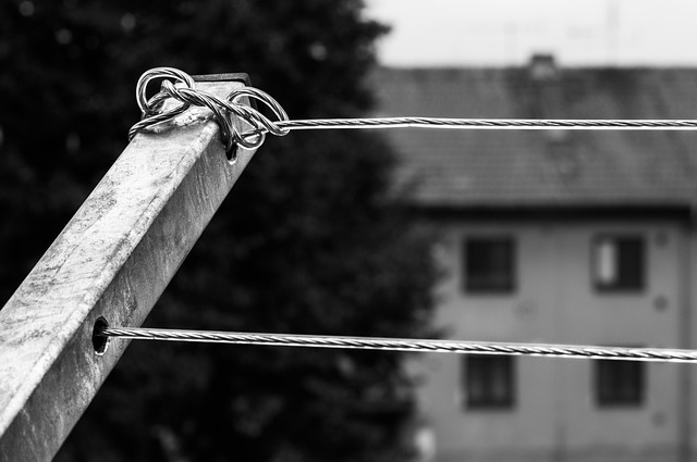 live wire