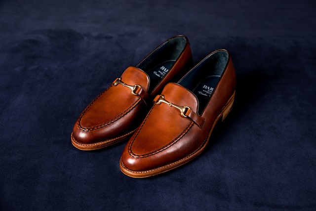 Hình ảnh minh họa ý nghĩa của từ loafers