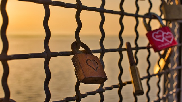 Hình ảnh minh họa ý nghĩa của từ lock-in