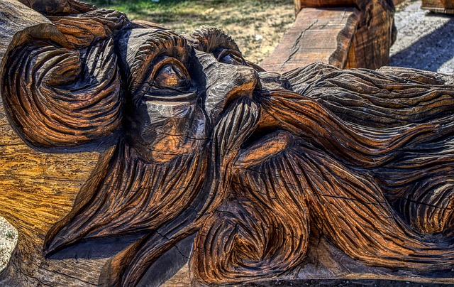 Hình ảnh minh họa ý nghĩa của từ log