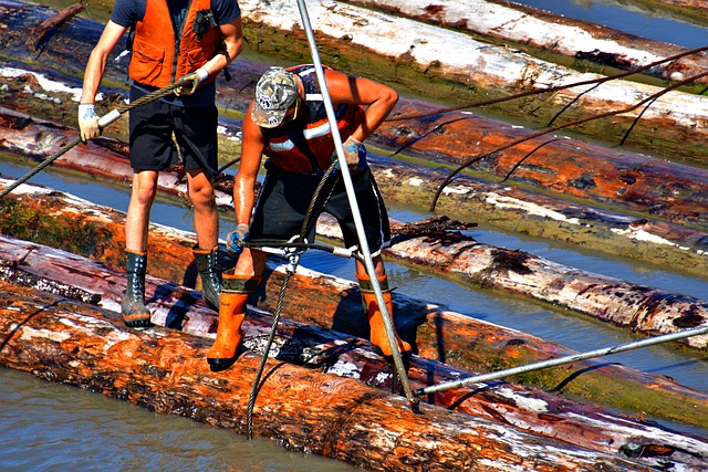 Hình ảnh minh họa ý nghĩa của từ log in