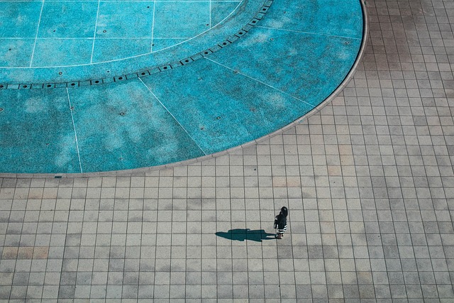 lone journey