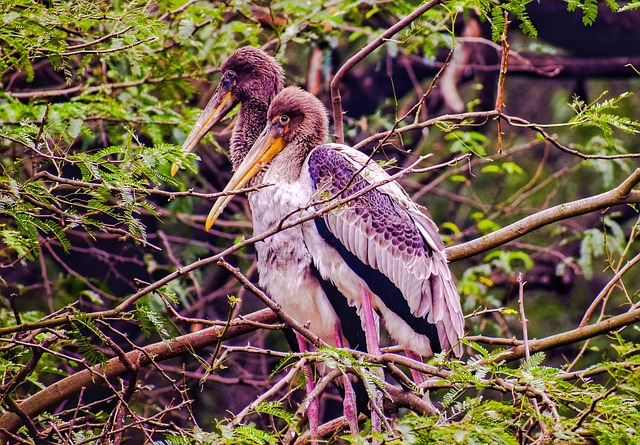 Hình ảnh minh họa ý nghĩa của từ long-standing business