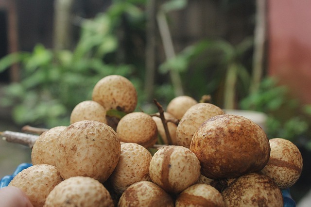 longan