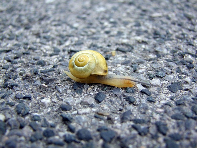 low speed