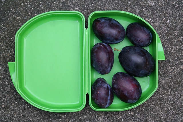 Hình ảnh minh họa ý nghĩa của từ lunch pail