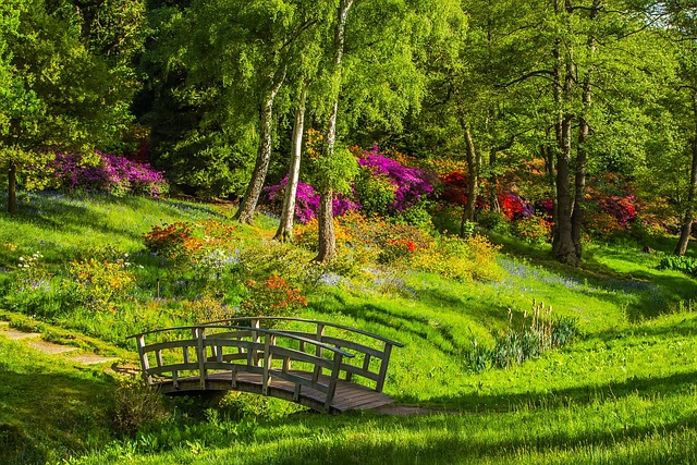 lush grass