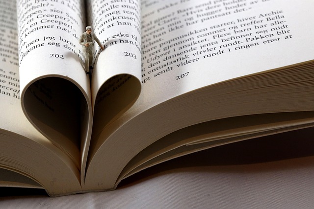 Hình ảnh minh họa ý nghĩa của từ macro photograph