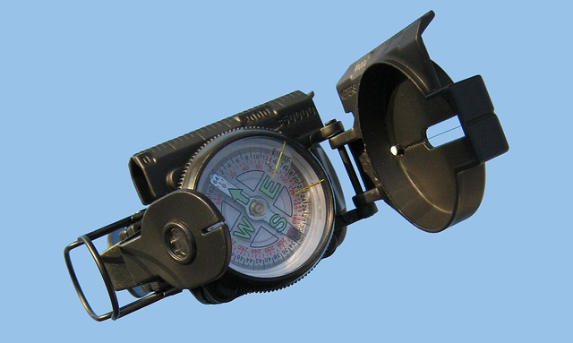 Hình ảnh minh họa ý nghĩa của từ magnetic compass