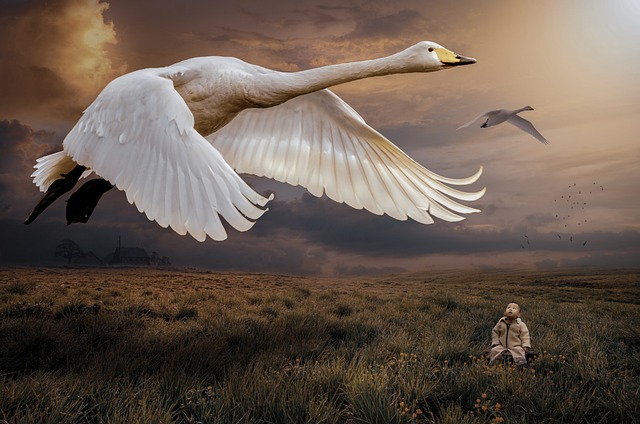 Hình ảnh minh họa ý nghĩa của từ magnificence