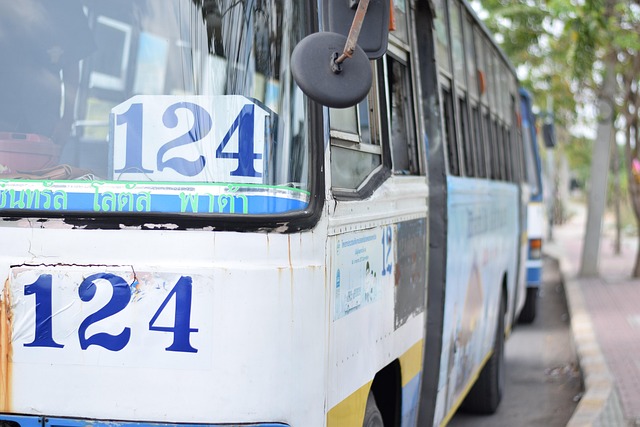 Hình ảnh minh họa ý nghĩa của từ magnificently