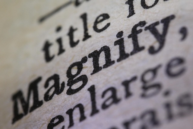 Hình ảnh minh họa ý nghĩa của từ magnify