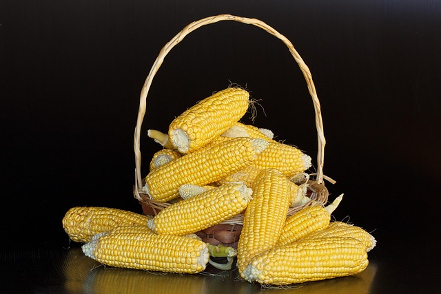 maize starch