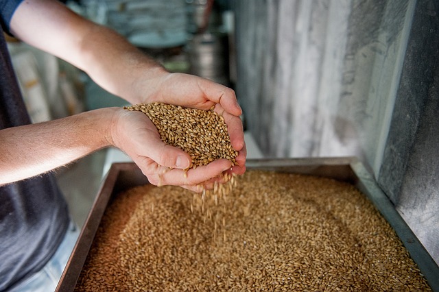 malt sugar