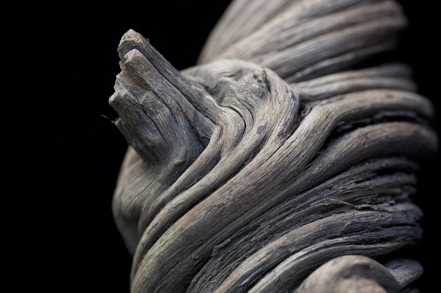 Hình ảnh minh họa ý nghĩa của từ mangrove swamp