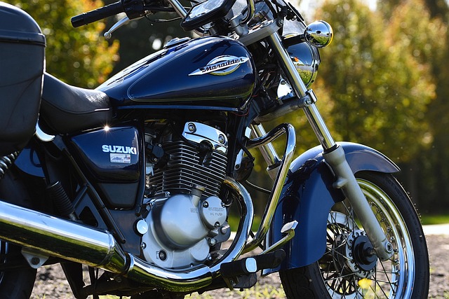 Hình ảnh minh họa ý nghĩa của từ maraud