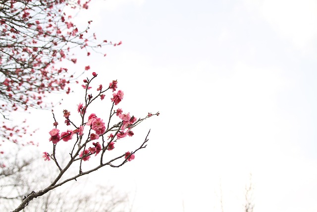 march confidently