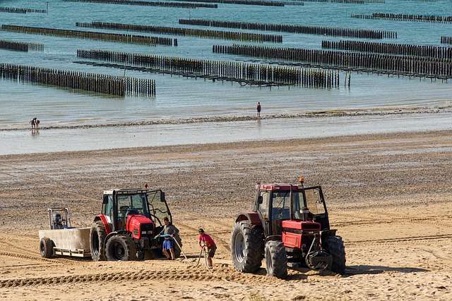 marine farming