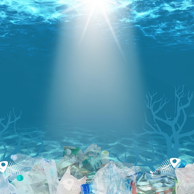 marine litter