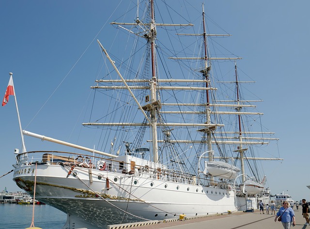 Hình ảnh minh họa ý nghĩa của từ masticate