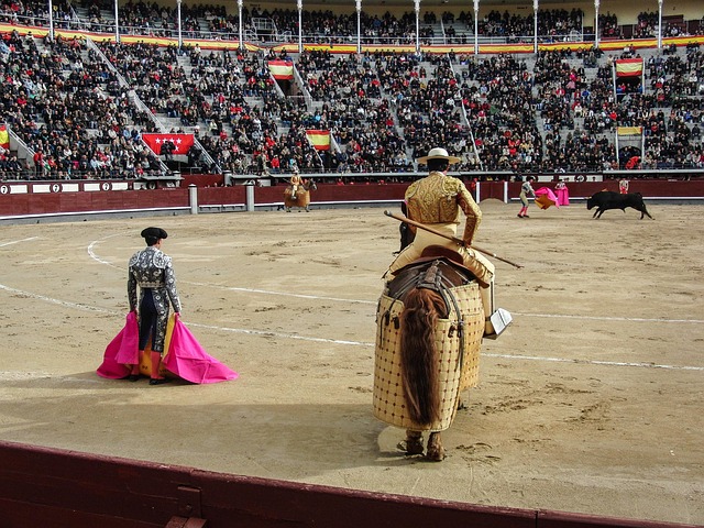 matador