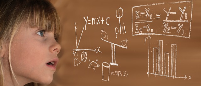 mathematical function
