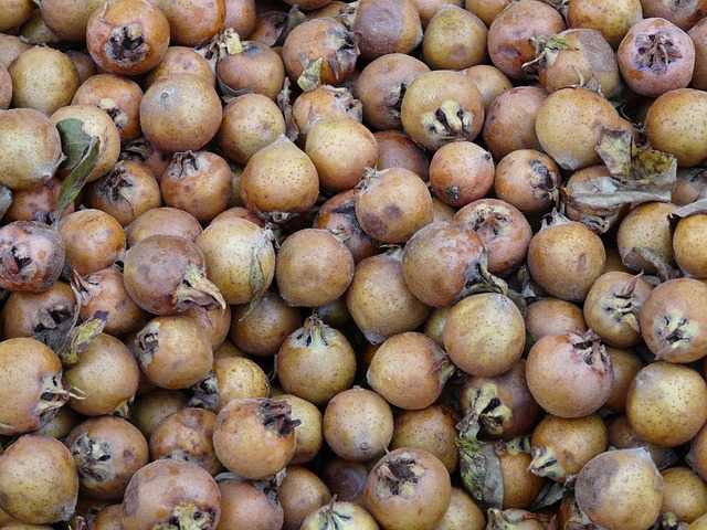 Hình ảnh minh họa ý nghĩa của từ meddling