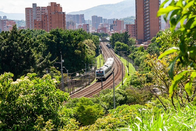medellín cartel