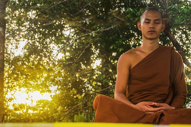 Hình ảnh minh họa ý nghĩa của từ meditating