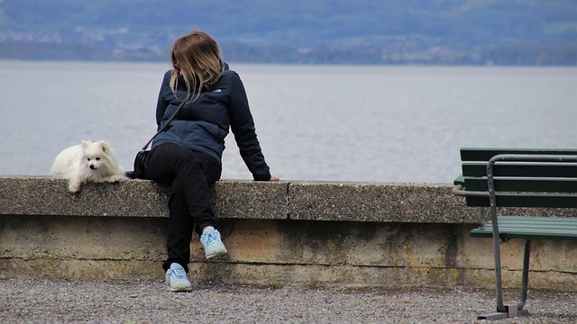 Hình ảnh minh họa ý nghĩa của từ meet head-on