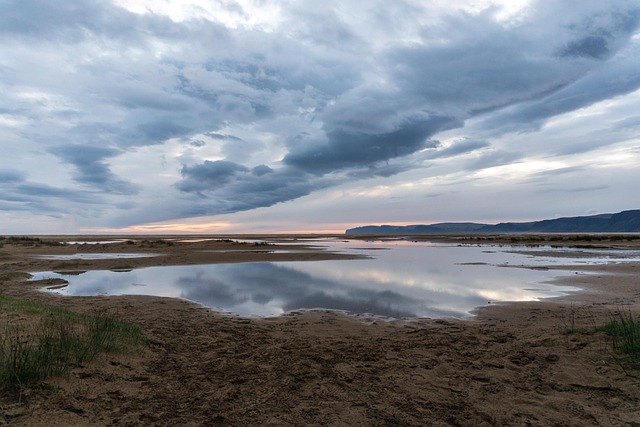 Hình ảnh minh họa ý nghĩa của từ melanism