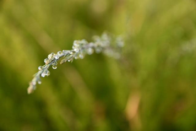 Hình ảnh minh họa ý nghĩa của từ melting point