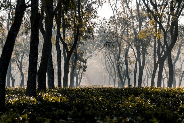 Hình ảnh minh họa ý nghĩa của từ merging