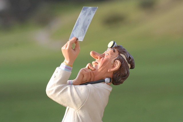 Hình ảnh minh họa ý nghĩa của từ metatarsals