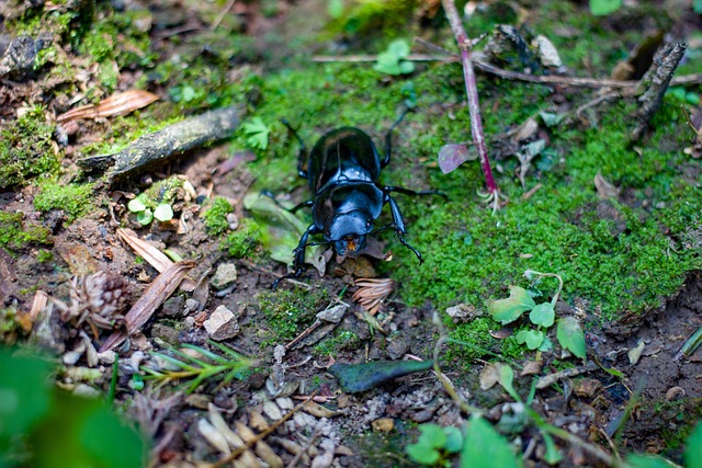 Hình ảnh minh họa ý nghĩa của từ methylation