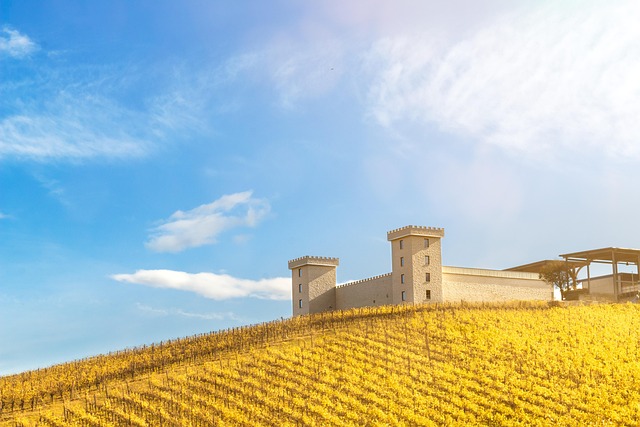 Hình ảnh minh họa ý nghĩa của từ middle ground