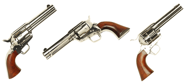 Hình ảnh minh họa ý nghĩa của từ militancy