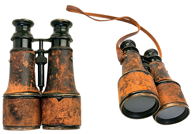 Hình ảnh minh họa ý nghĩa của từ military intelligence