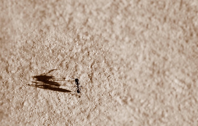 minimal impact