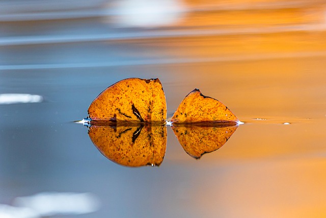 Hình ảnh minh họa ý nghĩa của từ mirroring