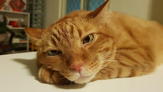 Hình ảnh minh họa ý nghĩa của từ misanthropy