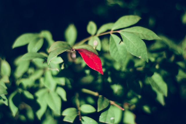 Hình ảnh minh họa ý nghĩa của từ mismatched