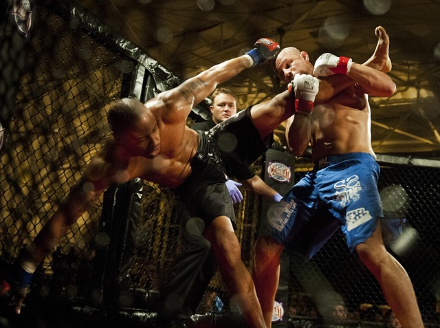 Hình ảnh minh họa ý nghĩa của từ mixed martial arts (mma)
