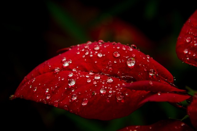 Hình ảnh minh họa ý nghĩa của từ moisten