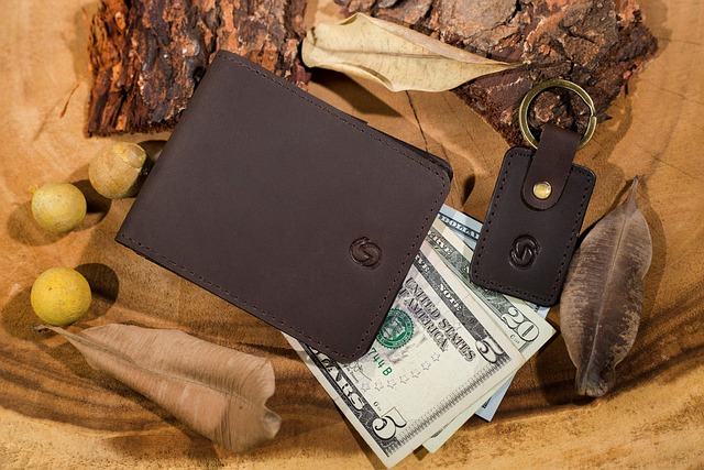 Hình ảnh minh họa ý nghĩa của từ money clip