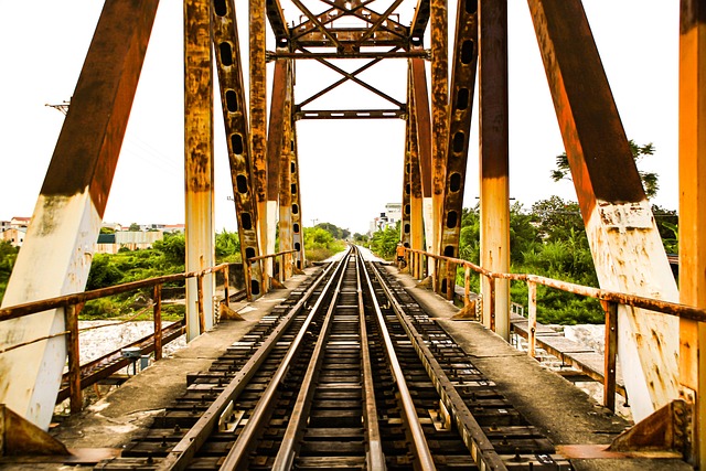 Hình ảnh minh họa ý nghĩa của từ monogamy