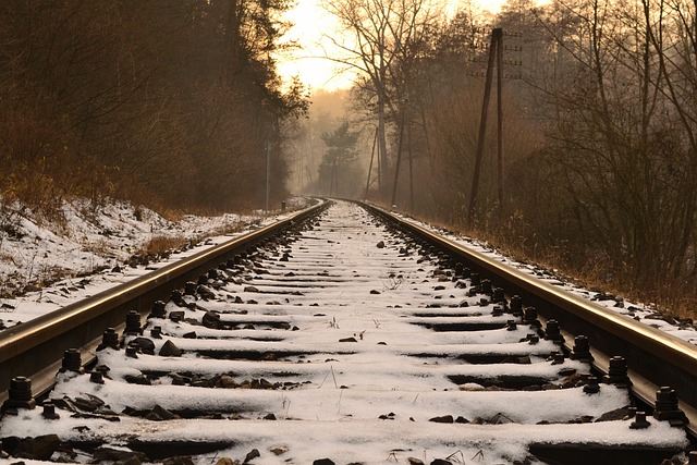 Hình ảnh minh họa ý nghĩa của từ monorail