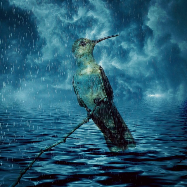 monsoon climate